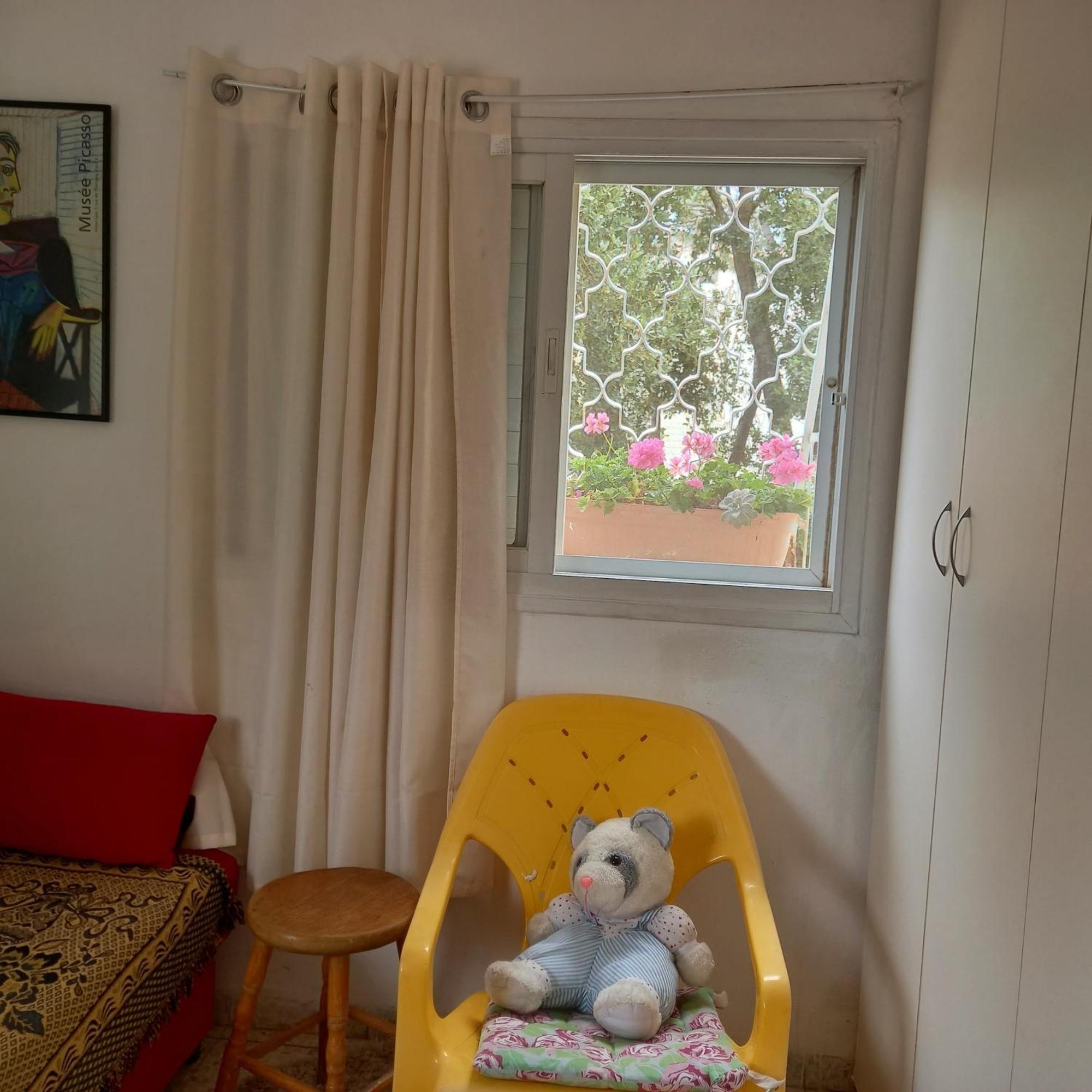 Stella Maris Hosting Daire Hayfa Dış mekan fotoğraf