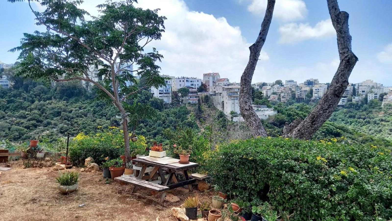Stella Maris Hosting Daire Hayfa Dış mekan fotoğraf