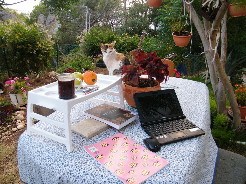 Stella Maris Hosting Daire Hayfa Dış mekan fotoğraf
